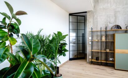 Modernes Interieur mit urbanem Touch: Zimmer mit heller Holzoptik und großen Zimmerpflanzen (u. a. Gummibaum, Areca-Palme) im Vordergrund. Im Hintergrund eine Betonwand mit einem minimalistischen Regal aus Holz und schwarzem Metall. Rechts steht ein grünes Sideboard. Die schwarze Glastür mit Metallrahmen führt in einen weiteren Raum, weiße Wand links sorgt für helles, luftiges Ambiente.