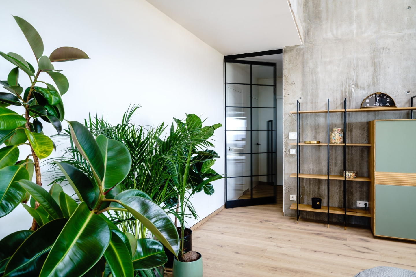 Modernes Interieur mit urbanem Touch: Zimmer mit heller Holzoptik und großen Zimmerpflanzen (u. a. Gummibaum, Areca-Palme) im Vordergrund. Im Hintergrund eine Betonwand mit einem minimalistischen Regal aus Holz und schwarzem Metall. Rechts steht ein grünes Sideboard. Die schwarze Glastür mit Metallrahmen führt in einen weiteren Raum, weiße Wand links sorgt für helles, luftiges Ambiente.